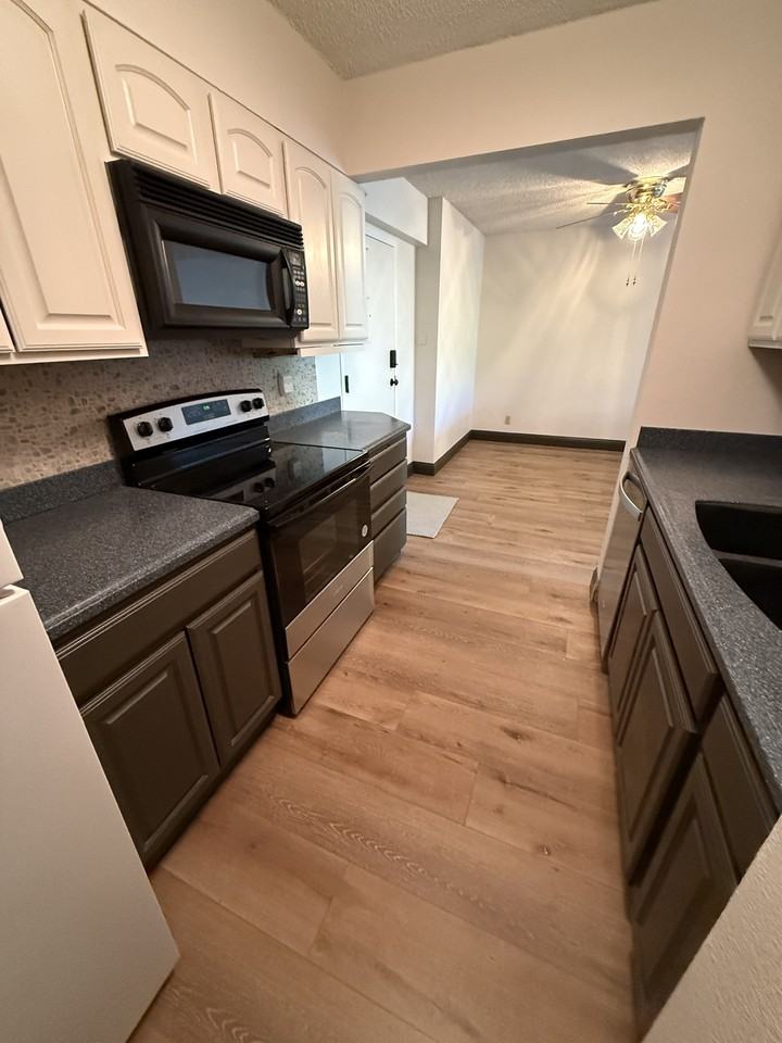 925 1st Avenue North - 1Apt 202 #1 - Photo 4 of 17