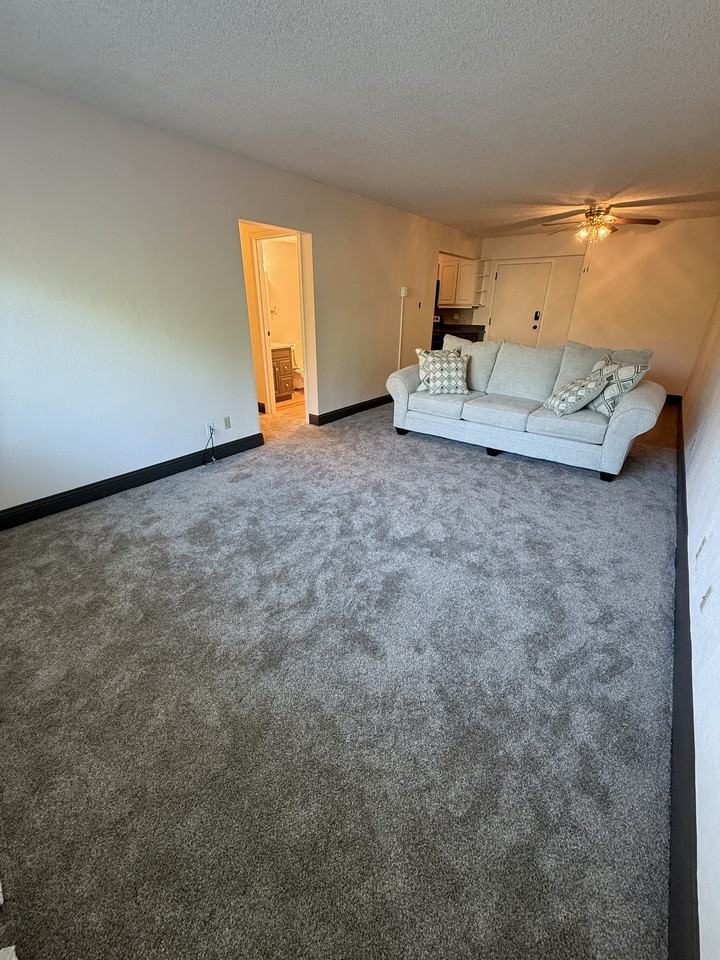 925 1st Avenue North - 1Apt 202 #1 - Photo 5 of 17