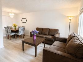featured image of 213 Palo Verde Ter