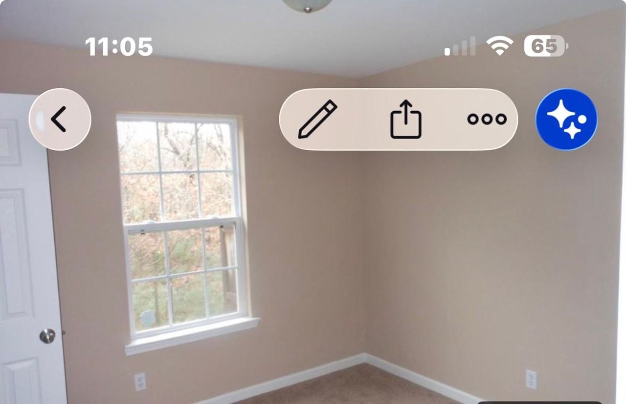 1047 N Dupont Ave - Photo 4 of 15