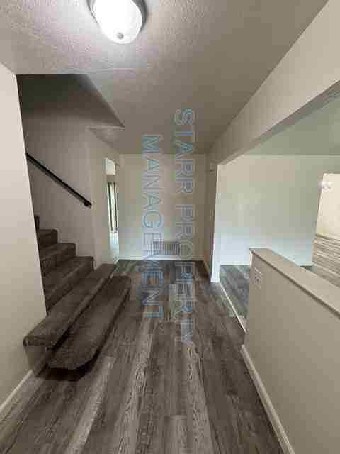 2382 Dario Cir - Photo 3 of 30