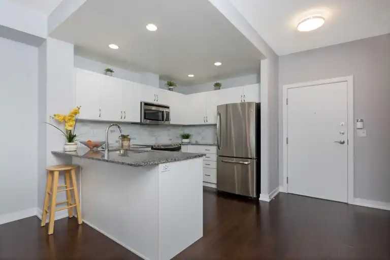 551 Maple Ave #1204 - Photo 5 of 10