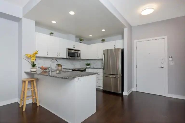 551 Maple Ave #1204 - Photo 6 of 10