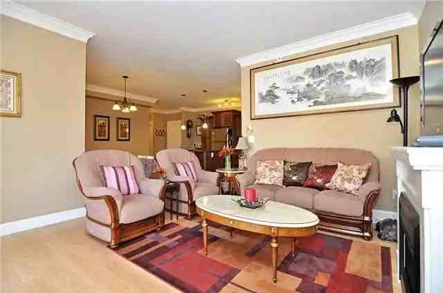 22150 Dewdney Trunk Rd #403 - Photo 3 of 12