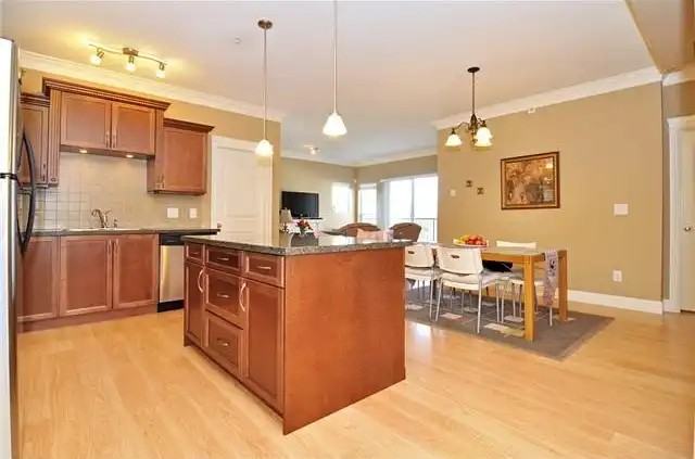 22150 Dewdney Trunk Rd #403 - Photo 5 of 12