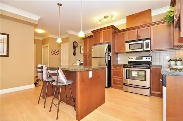 22150 Dewdney Trunk Rd #403 - Photo 6 of 12