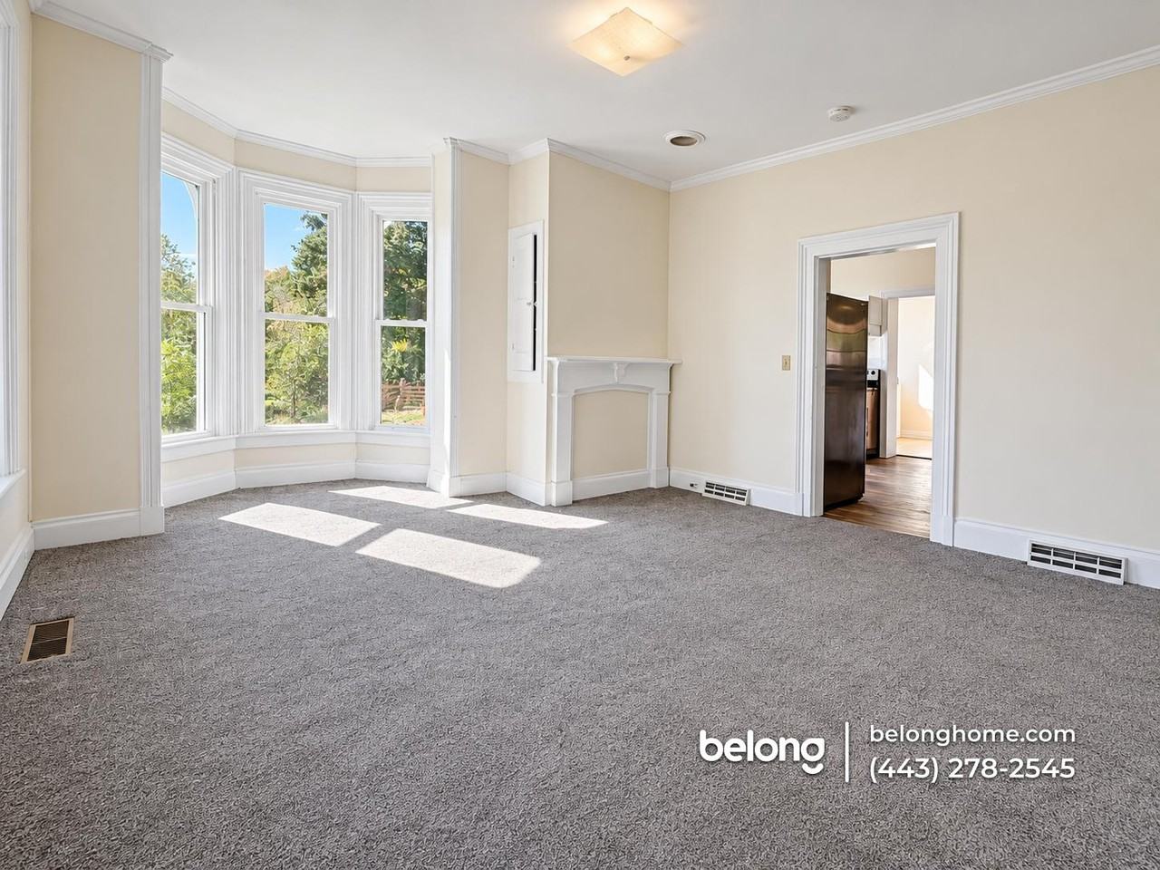 1118 Bachmans Valley Rd - Photo 3 of 15