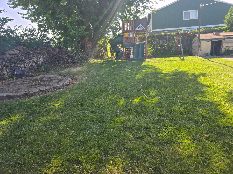 804 N 24th Ave - Photo 3 of 6
