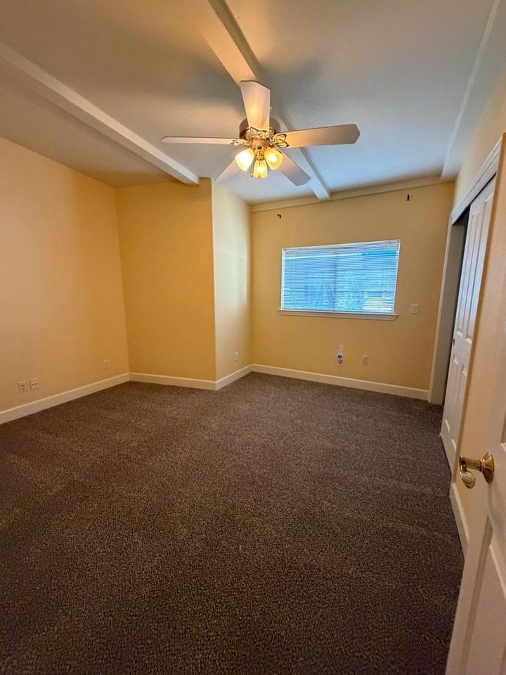 125 Carson Ave - Photo 7 of 19