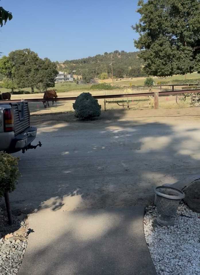 3249 Willow Springs Rd #NA - Photo 3 of 16