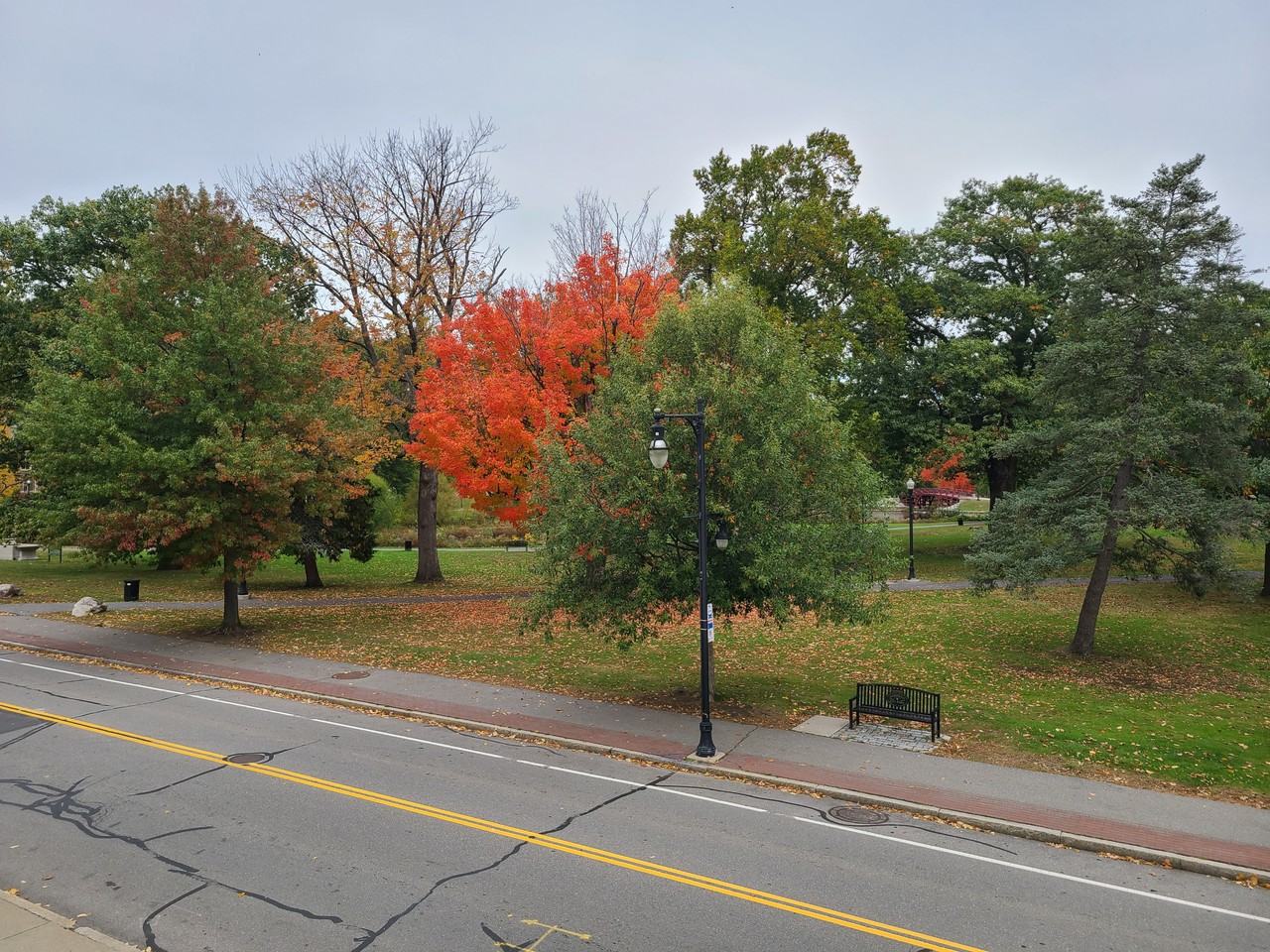 134 Elm St #NA - Photo 2 of 12