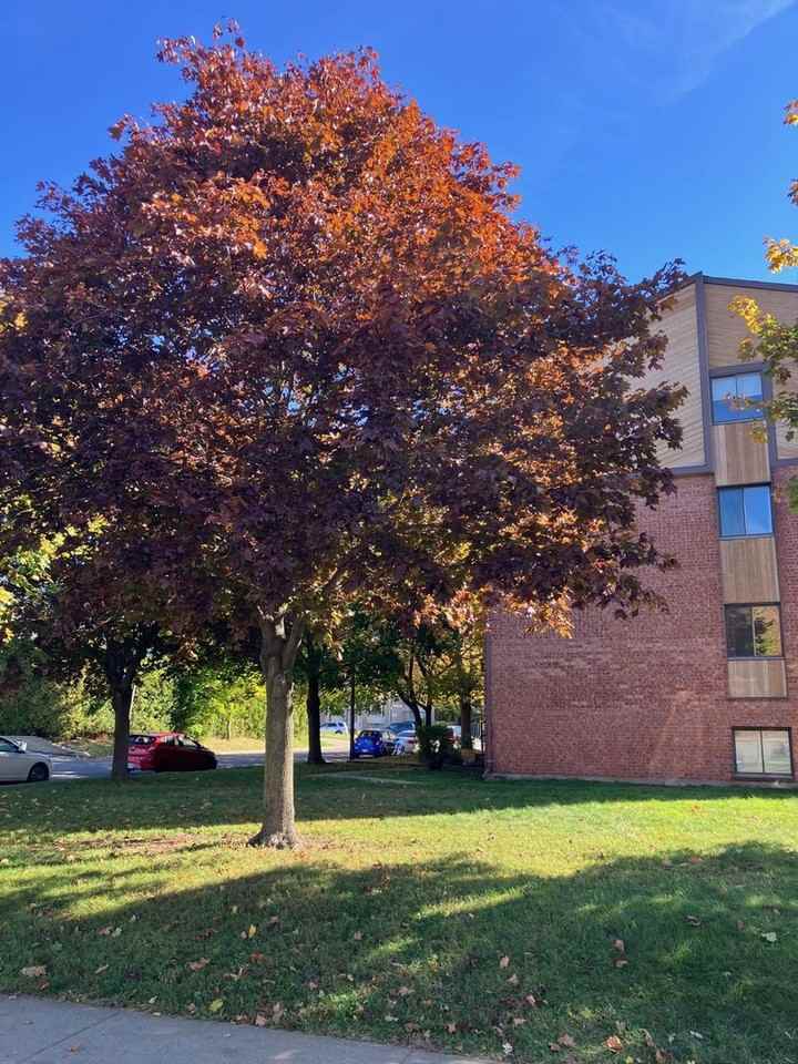 990 Rue Joseph-Janot - Photo 2 of 18