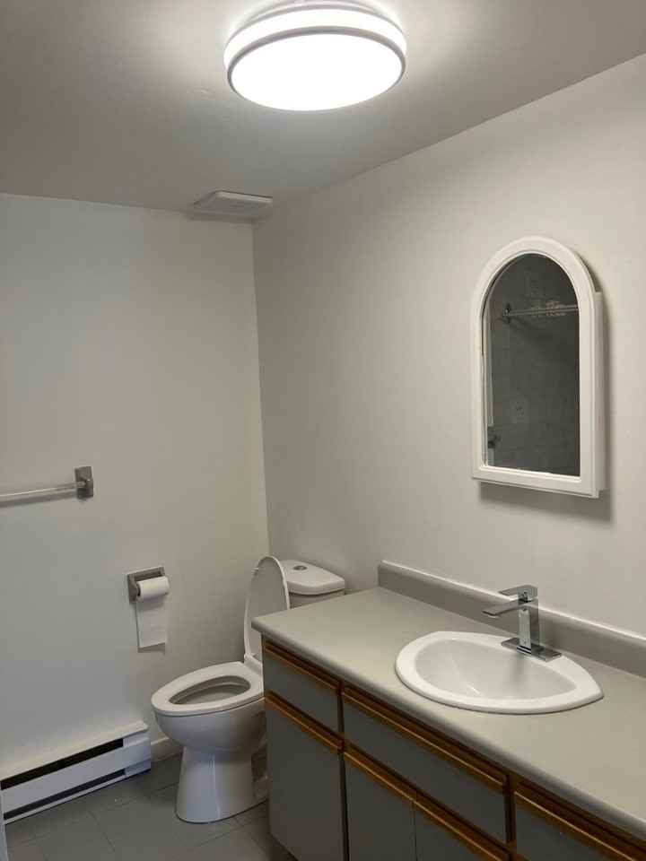 990 Rue Joseph-Janot - Photo 6 of 18