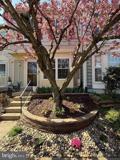 6917 Chiswick Ln - Photo 1 of 1