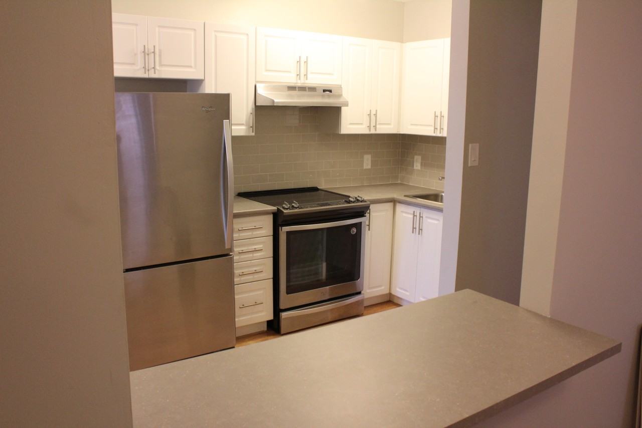 97 Walmer Road - Photo 2 of 15