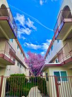 featured image of 720 630, 690, 710, 720 ROBINHOOD DRIVE