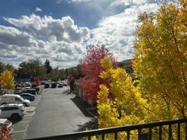 featured image of 308 N Curry St