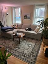 238 Cambridge St #2 - Photo 1 of 1