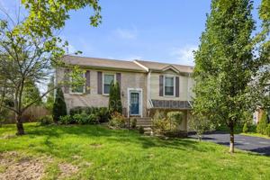 featured image of 371 Larchmont Ct