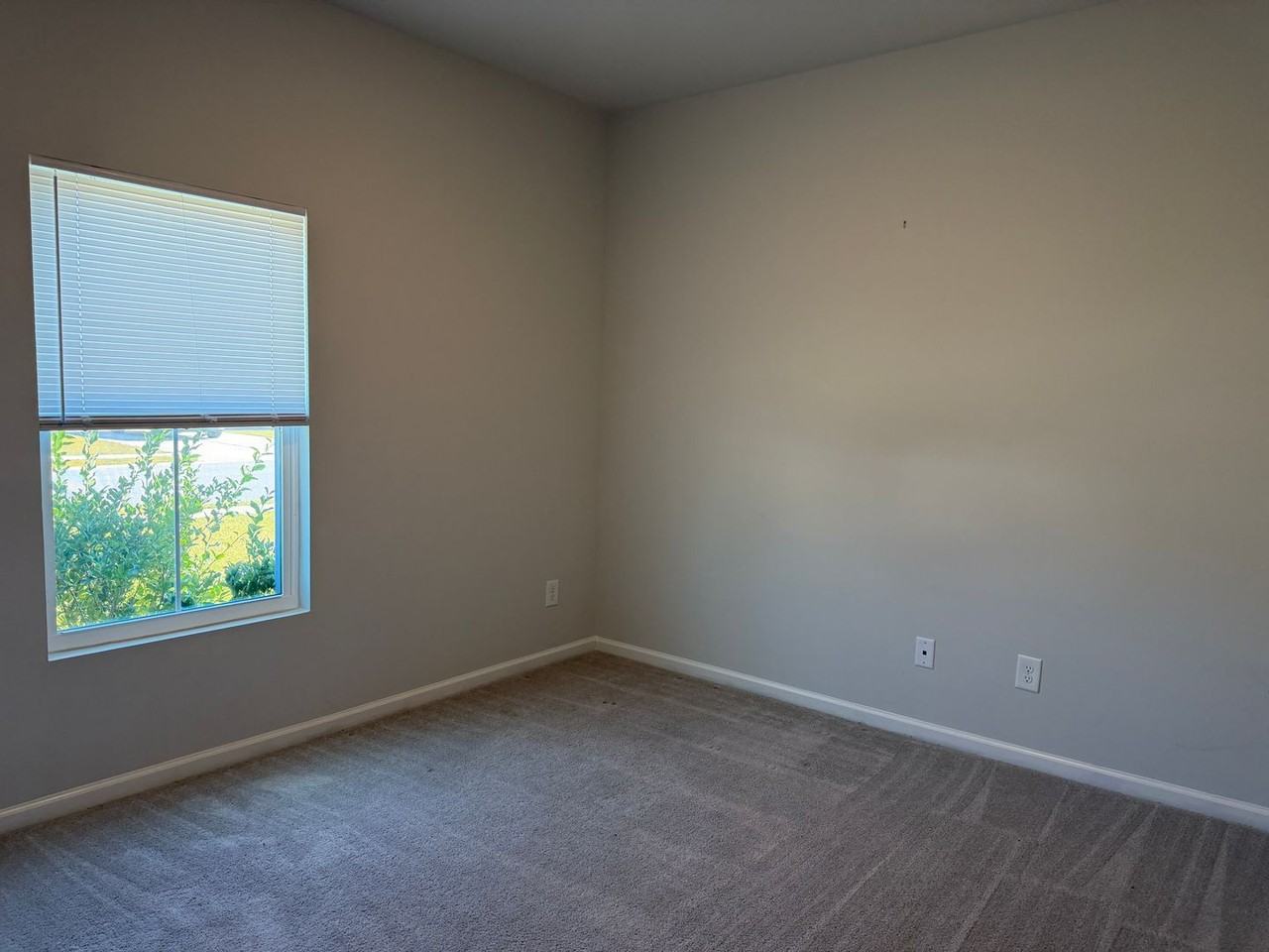 133 Franklins Walk - Photo 6 of 29