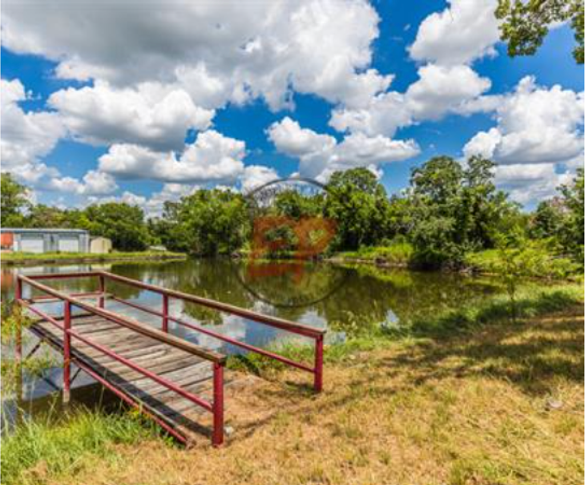 444 Happy Swaner Ln - Photo 6 of 25