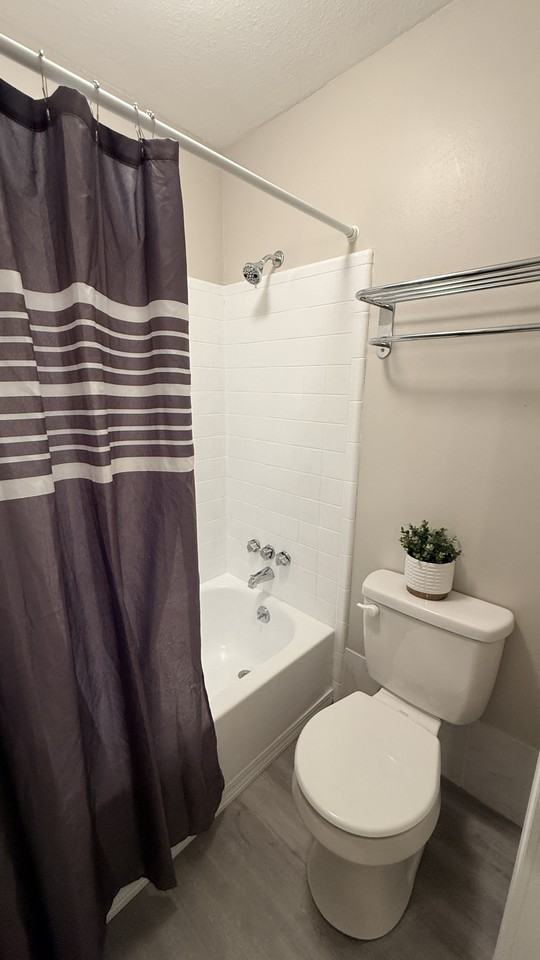 317 N Cedar St #B - Photo 7 of 12