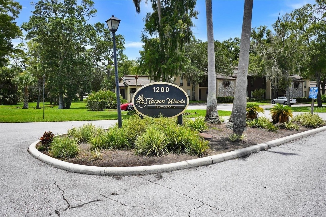 1200 Tarpon Woods Blvd #P5 - Photo 2 of 22