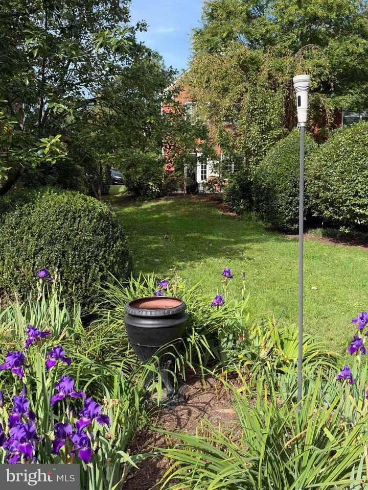3213 Martha Custis Dr - Photo 4 of 6