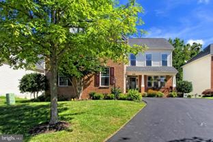 8498 Indian Paintbrush Way - Photo 1 of 1