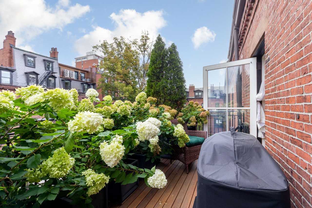 295 Marlborough St #3 - Photo 5 of 18
