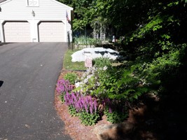 featured image of 2 Deborah Rd #NA