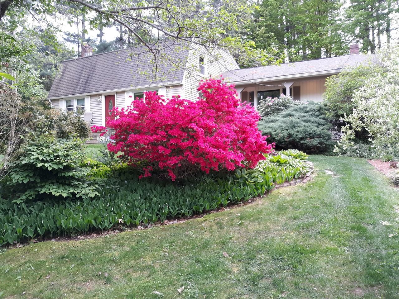 2 Deborah Rd #NA - Photo 2 of 5