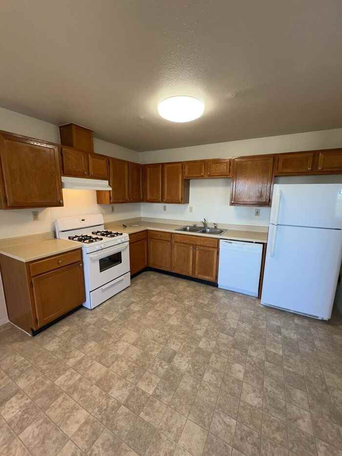 373 Black Elk Ct - Photo 3 of 9