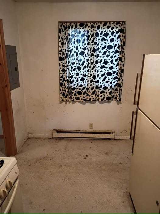 1523 W Marion Ave #NA - Photo 4 of 5