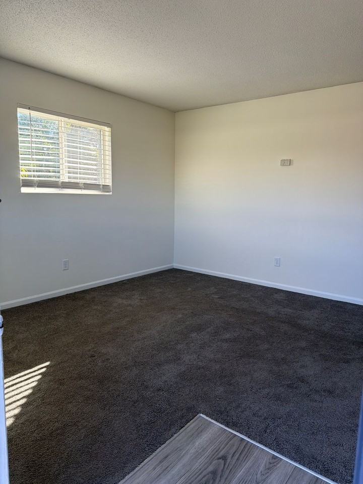 1006 Salisbury St #1B - Photo 3 of 11