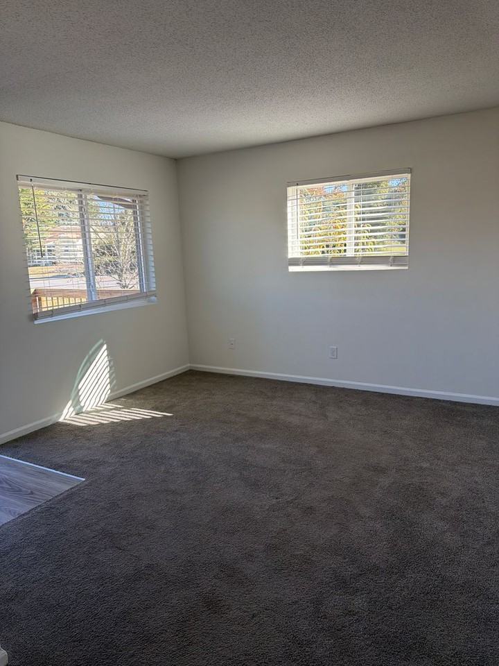 1006 Salisbury St #1B - Photo 4 of 11