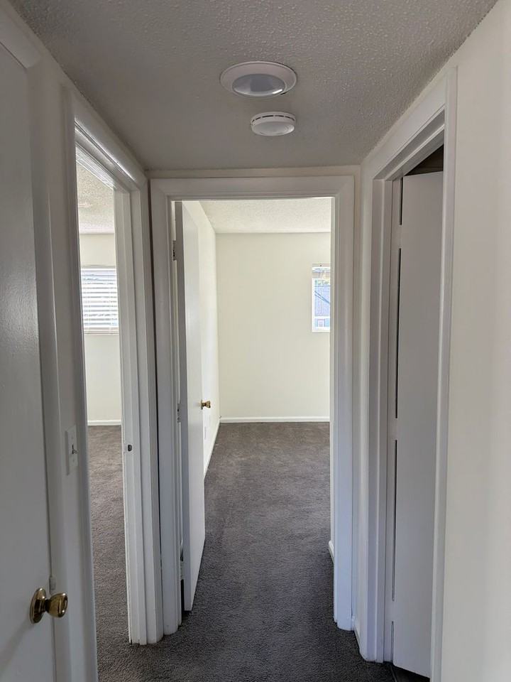 1006 Salisbury St #1B - Photo 7 of 11
