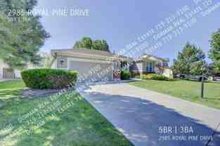2985 Royal Pine Dr - Photo 1 of 1