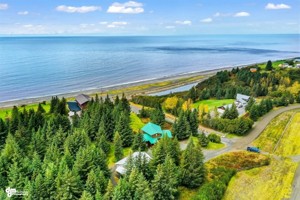 featured image of 35625 Anchor River Air Park Ln
