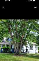 1811 Blair Loop Rd - Photo 1 of 1