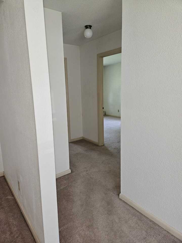 430 Spring St #3 - Photo 4 of 7