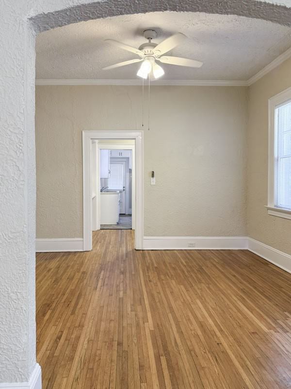 530 Thorn Place - Photo 7 of 36