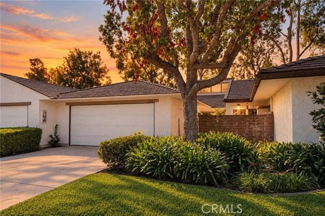 17284 Citron - Photo 2 of 8