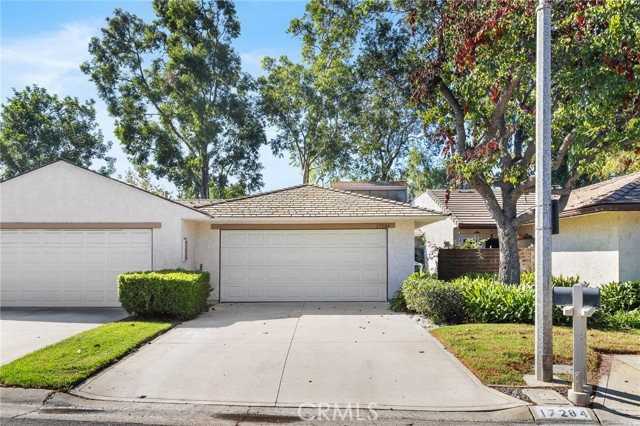 17284 Citron - Photo 7 of 8