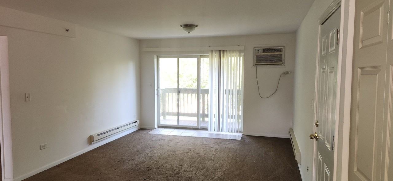 7725 Woodward Ave #2N - Photo 5 of 12