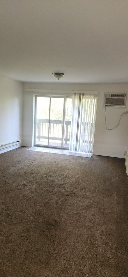 7725 Woodward Ave #2N - Photo 7 of 12