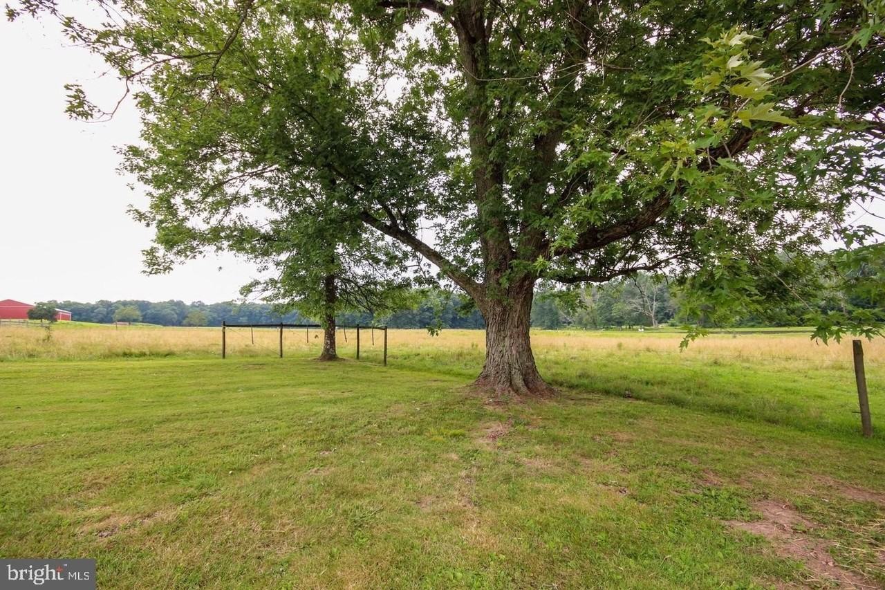 892 Deer Run Rd - Photo 3 of 28