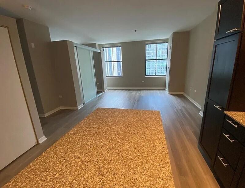 220 W Randolph St #815 - Photo 2 of 9