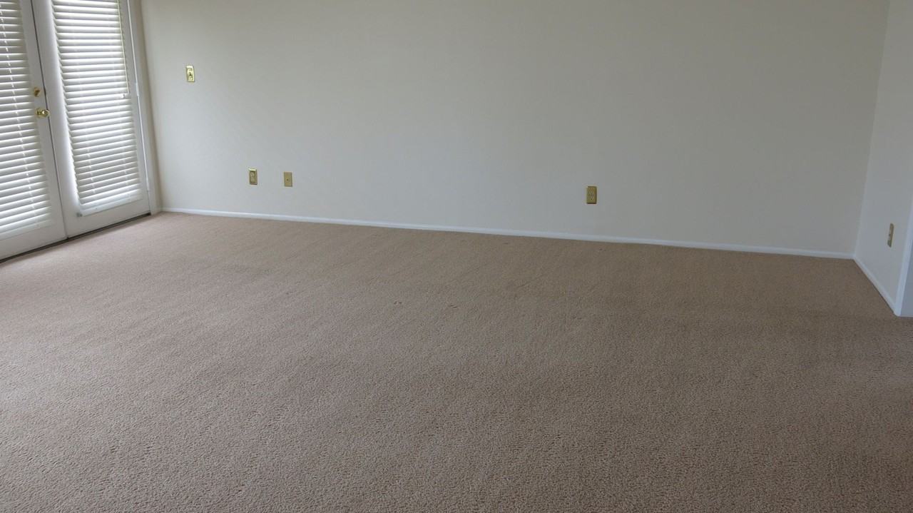 1650 Riviera Ct - Photo 6 of 25