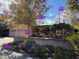 893 Appaloosa Dr - Photo 1 of 1